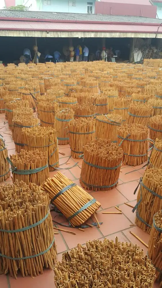 CINNAMON LONG STICK 50CM VIETNAM (WHATSAPP +84918616691)