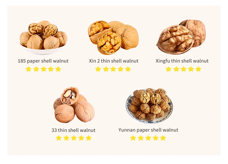 Высококачественный тонкокожный китайский Орех Xin Er, мытый и немытый