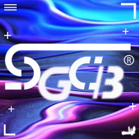 SGCB Car Detailing Foam Gun Snow Lance Cannon Pressure Washer Jet