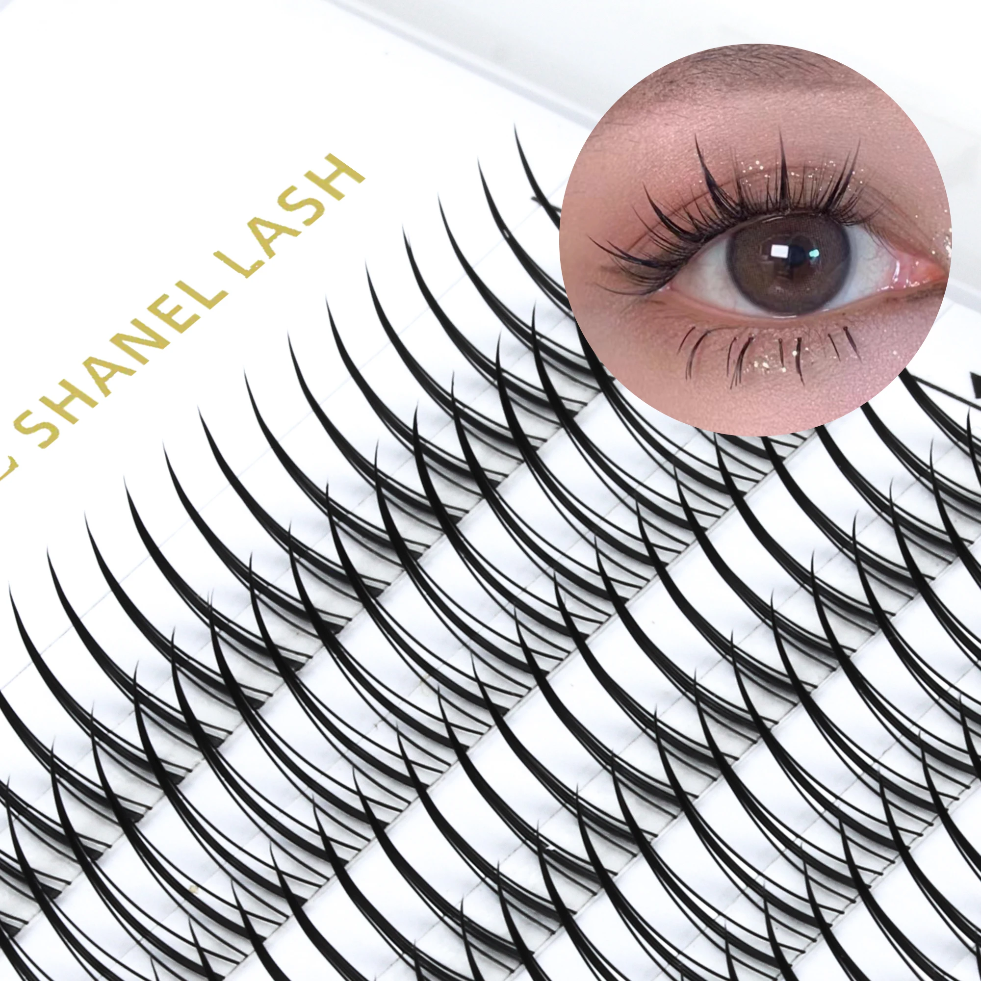 Wholesale Bulk Cheap Premium Spike A Shape Cluster 0.07 8-15mm Spike Premade Fan Eyelash Extension Individual Volume Fans Lashes
