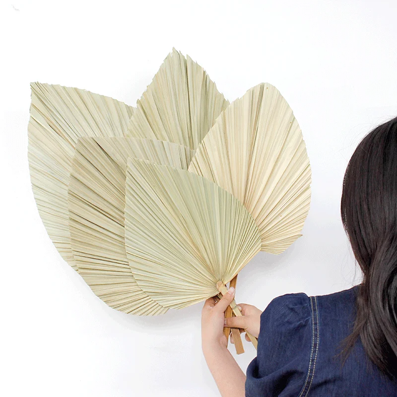 Wholesale wedding decoration natural dry palm leaf plate fan dried flower arrangement palm leaves for wedding decor