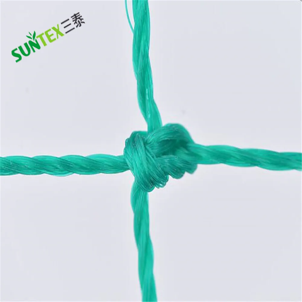 high tensile strength PE 10*10 cm tomato support mesh,beans cucumber climbing trellis net plant support netting