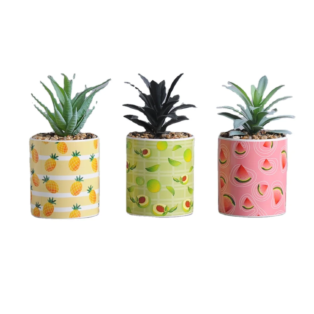 Succulent Modern Round Decorative Gardening Pot Mini Cute Indoor Flower Pots For All House Plants, Flowers