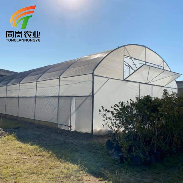 Hot Sale Single Tunnel Plastic Film Greenhouse Green House Supplier For Herb Vegetable Growing