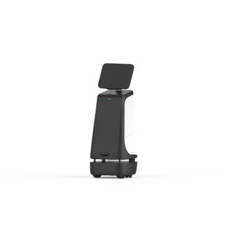 Outdoor Home Security Alert Assistant Work Robot Humanoid