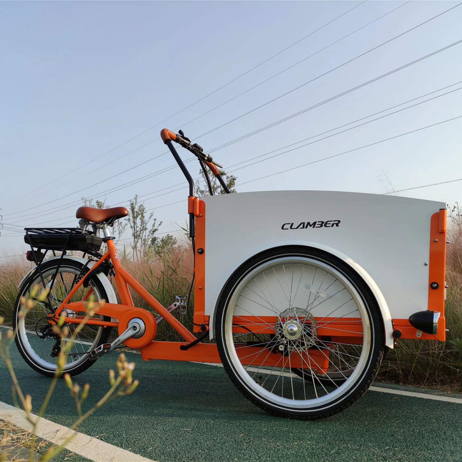 best selling 250W electric cargo bike with front wood box 3 wheel bike bicycle europe stock delivery bike