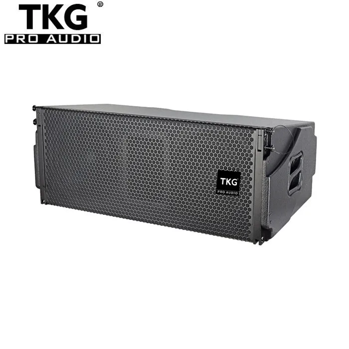 TKG FA210 900W church outdoor sound system dual 10 inch line array