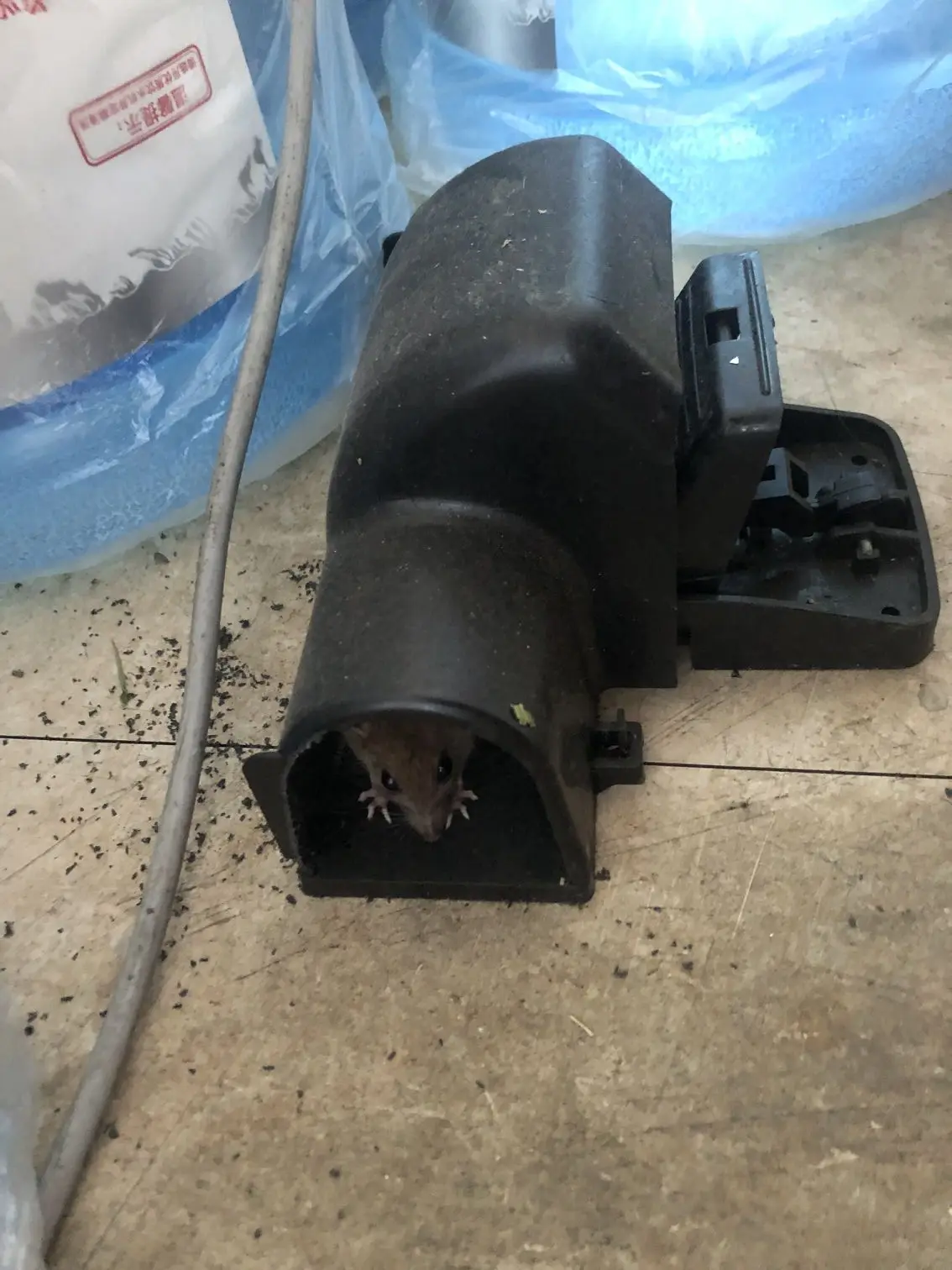 Indoor Outdoor Plastic Large Size Rodent Killer Mouse Capture Device Rat Tunnel Snap Trap