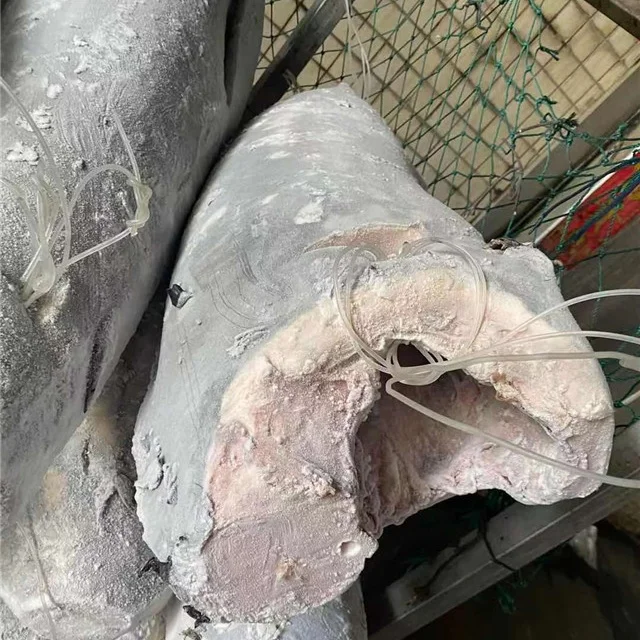 Seafrozen Quality Swordfish 30KG up Price Frozen HGT Swordfish