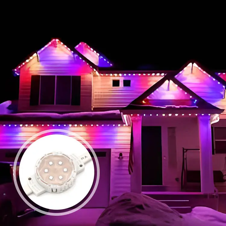 24V 1.5W RGB 6Leds Programmable UCS DMX512 Permanent Christmas Lights IP68 Building Decoration
