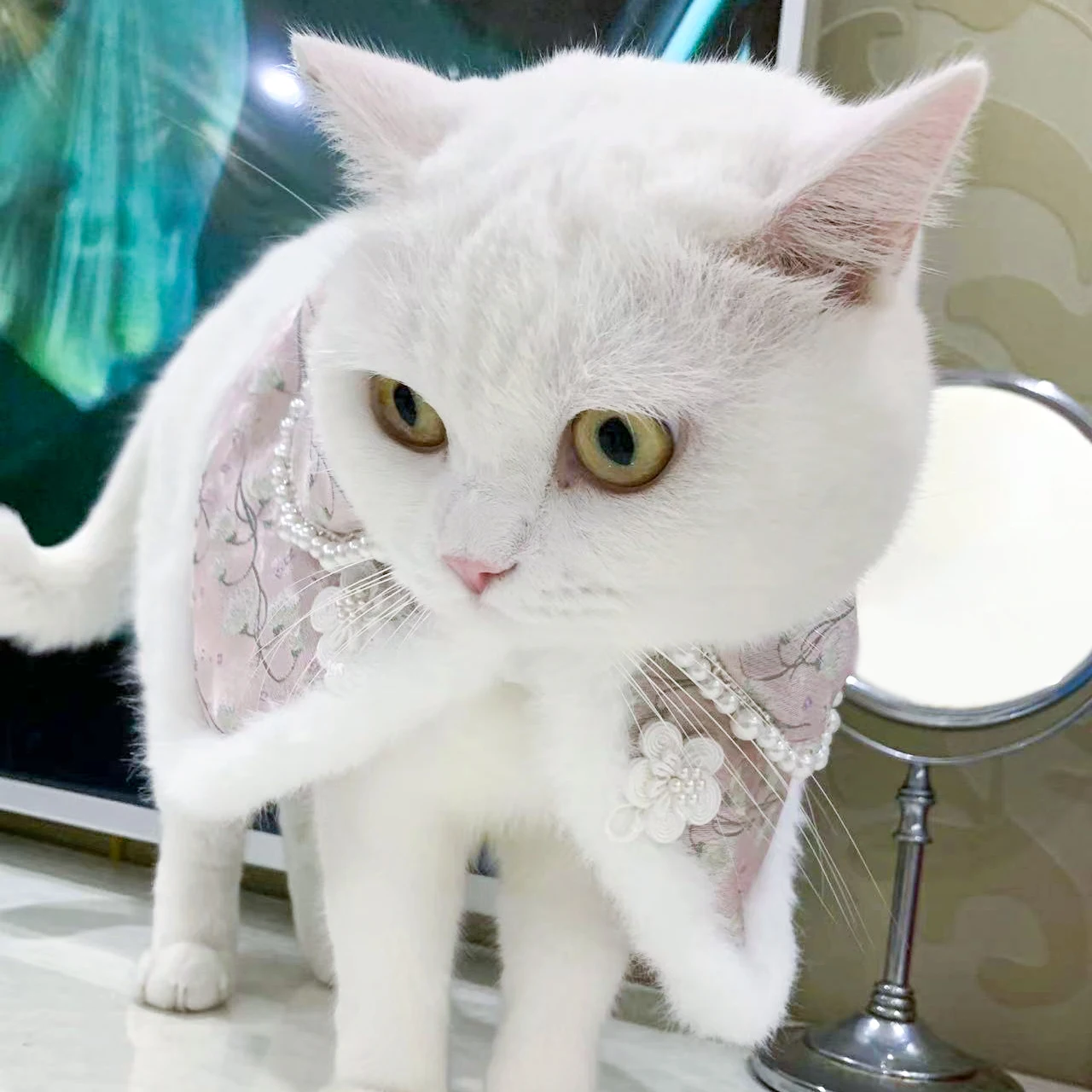Roleplay Costume Poncho Cape cat Warm Coat Cloak for cat Cosplay  cat Hats Coats Cute