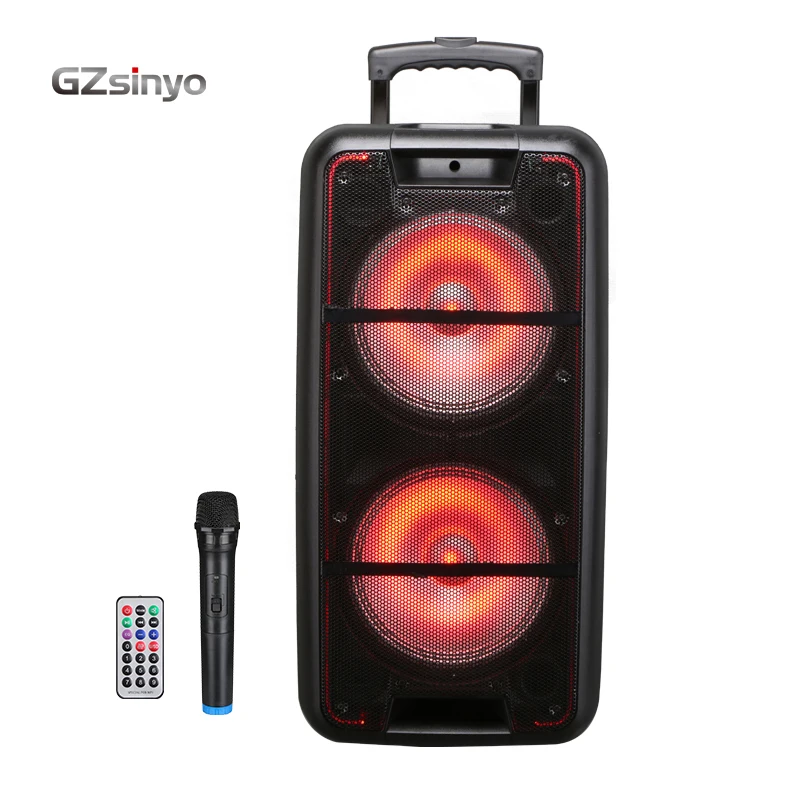 double 10inch  trolley   hot sell low price outdoor portable speaker system with usb charger