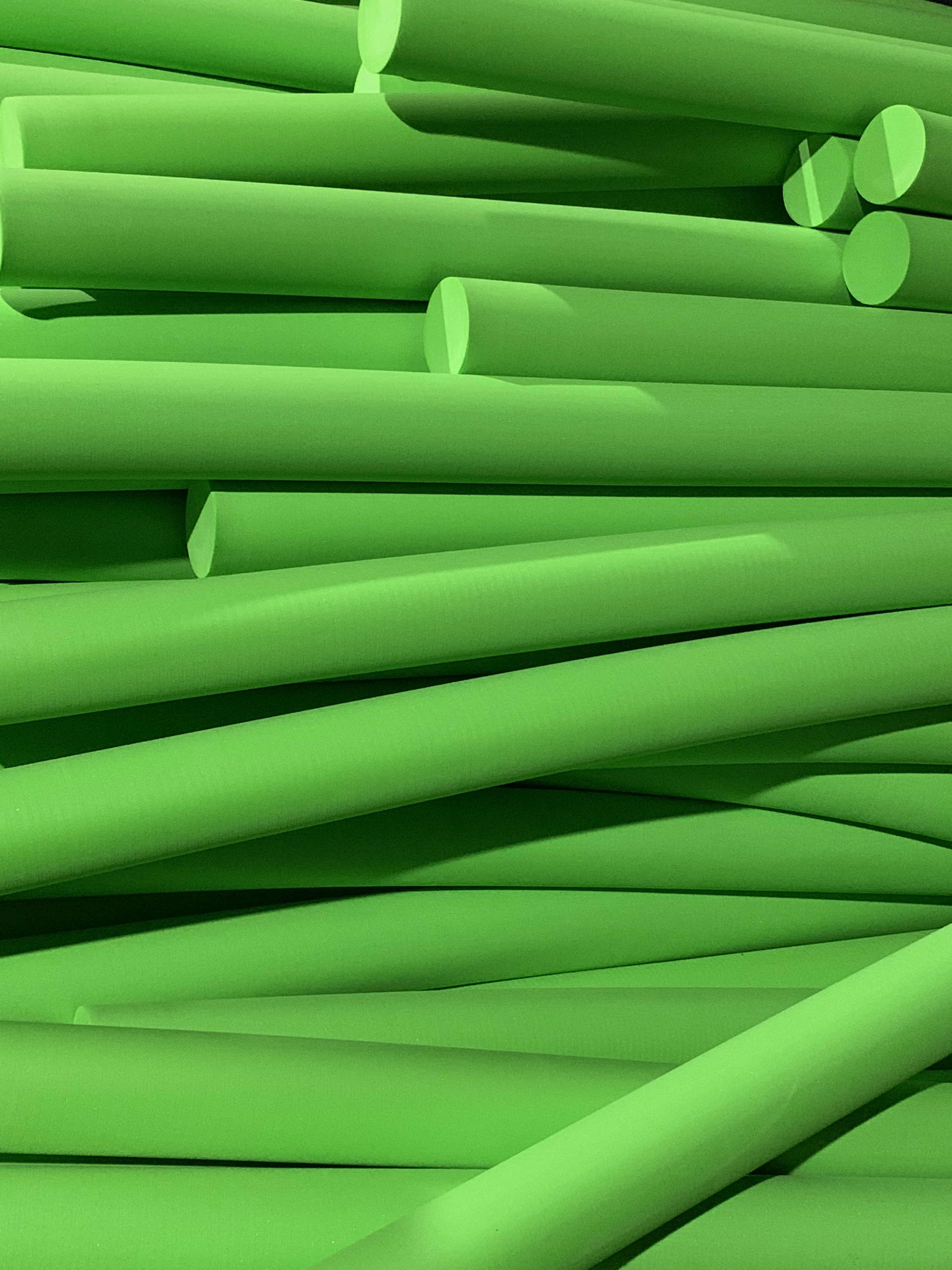 Стержни зеленые. Растение зеленые стержни круглого сечения