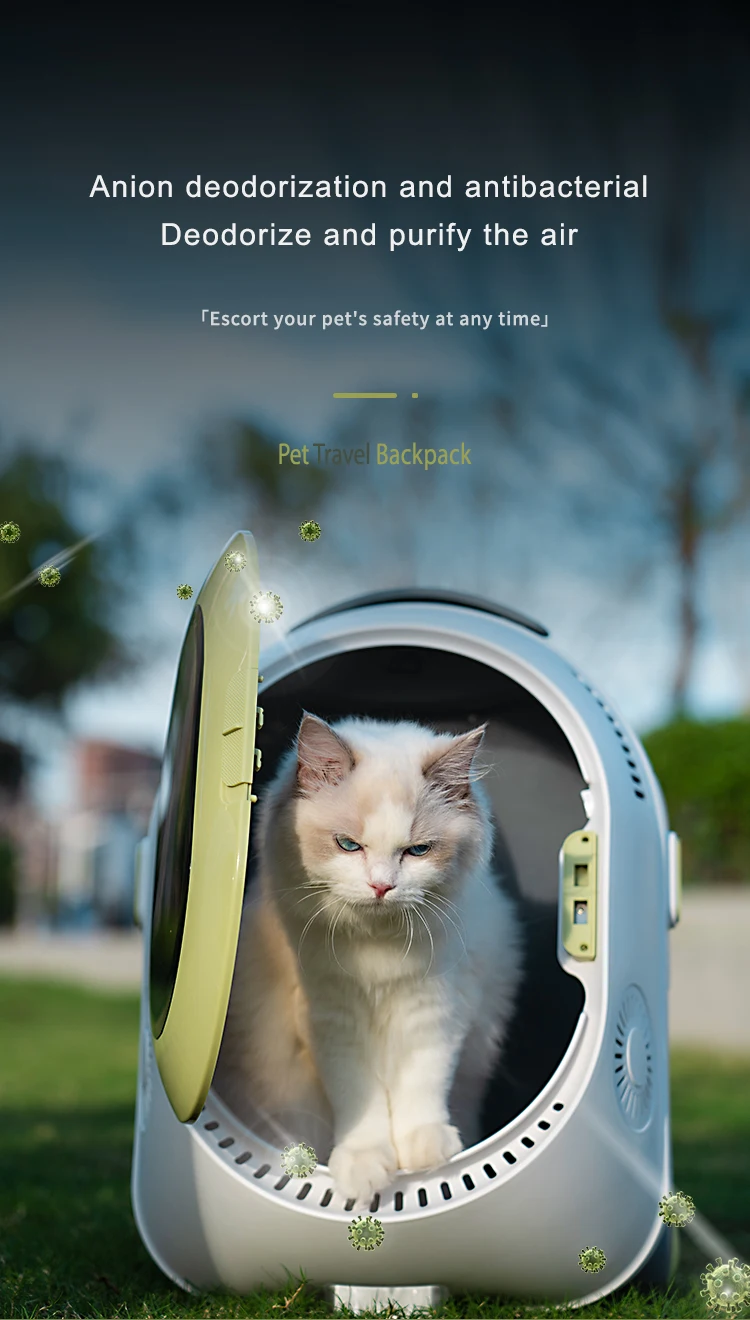 Portable Eva Pet Dog Puppy Cat Foldable Carrier Carrying Bag Cage Tote Handbag