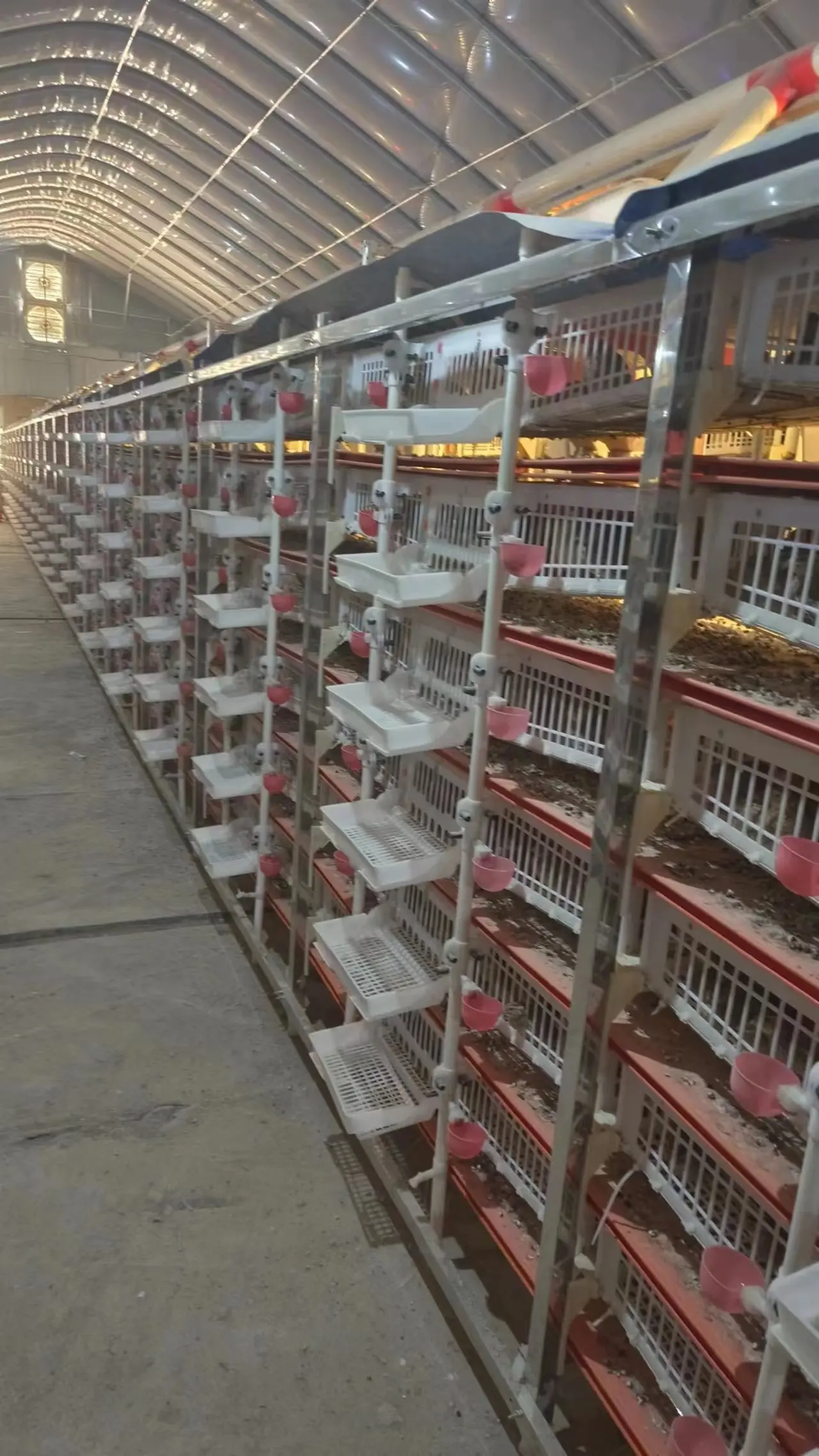 Agricultural equipment 6-layer quail cage animal cage stainless steel frame plus plastic