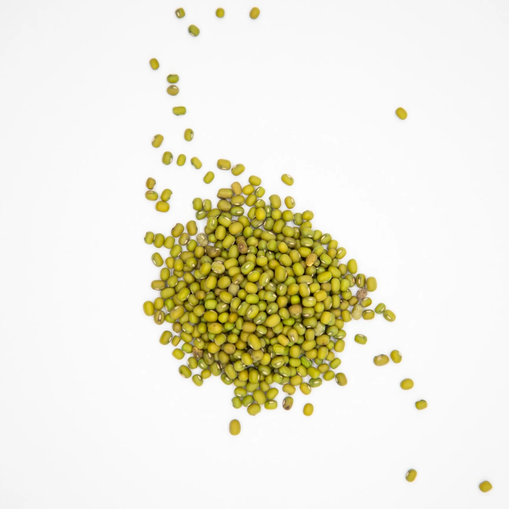 Organic green mung beans 100% natural high grade vigna beans for sprouting from Uzbekistan manufacturer