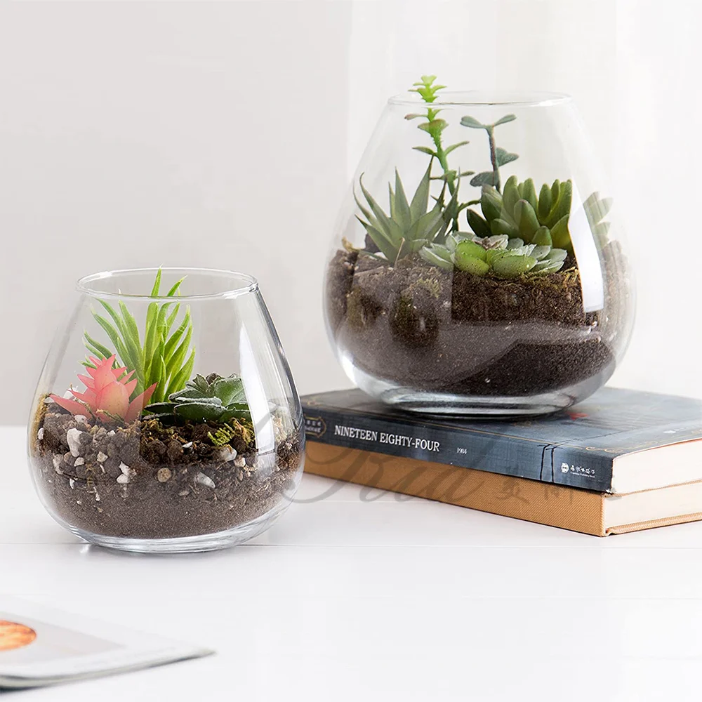 Round Glass Plant Tabletop Terrarium Succulent Air Plant Planter Fish Bowl Eco-friendly
