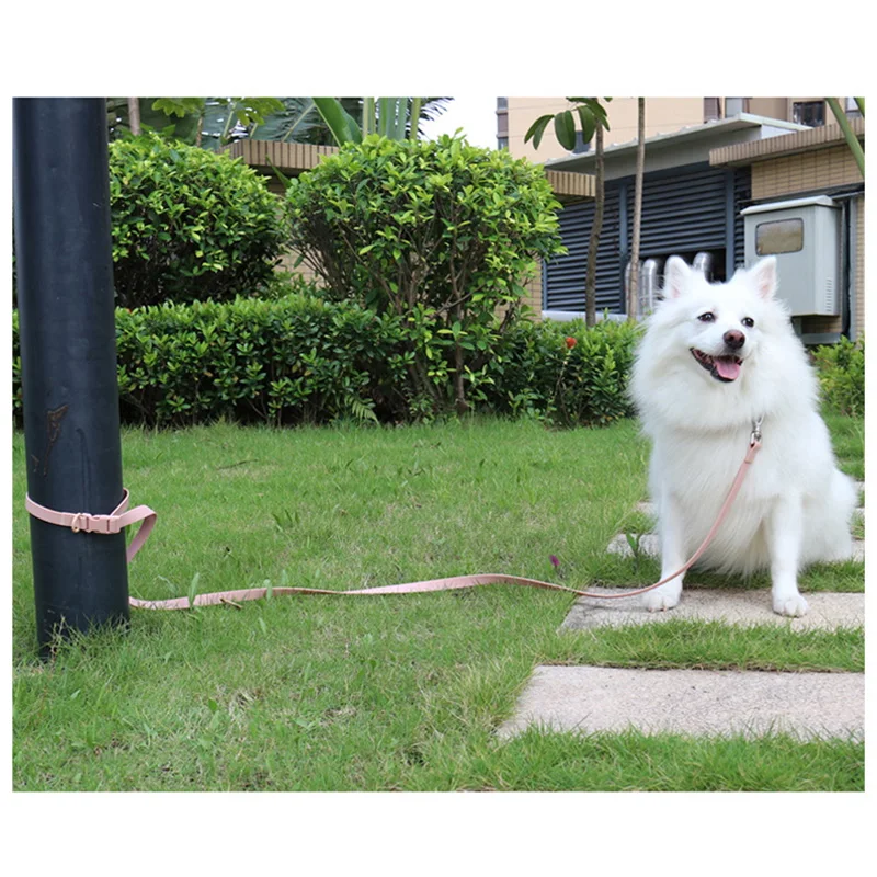 Durable and High Quality Training Rope Dog with Anti slip Fur Adjustment Pet Customized Dog Rope Dog Collar and Belt Set