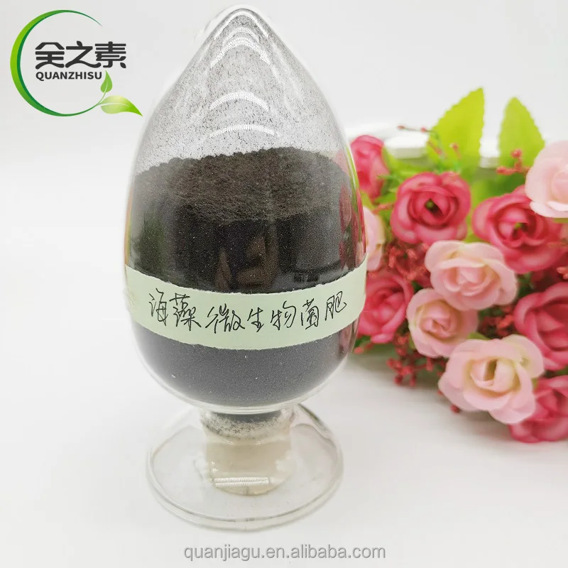 Water Soluble Fertilizer NPK 20-20-20 Seaweed Biofertilizer Organic Fertilizer for Agriculture Powder