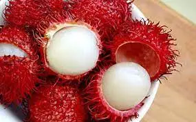 Export quality Cheap Bulk Fresh Rambutan Natural Sweet Fresh Rambutan for Daily Use Origin Viet Nam