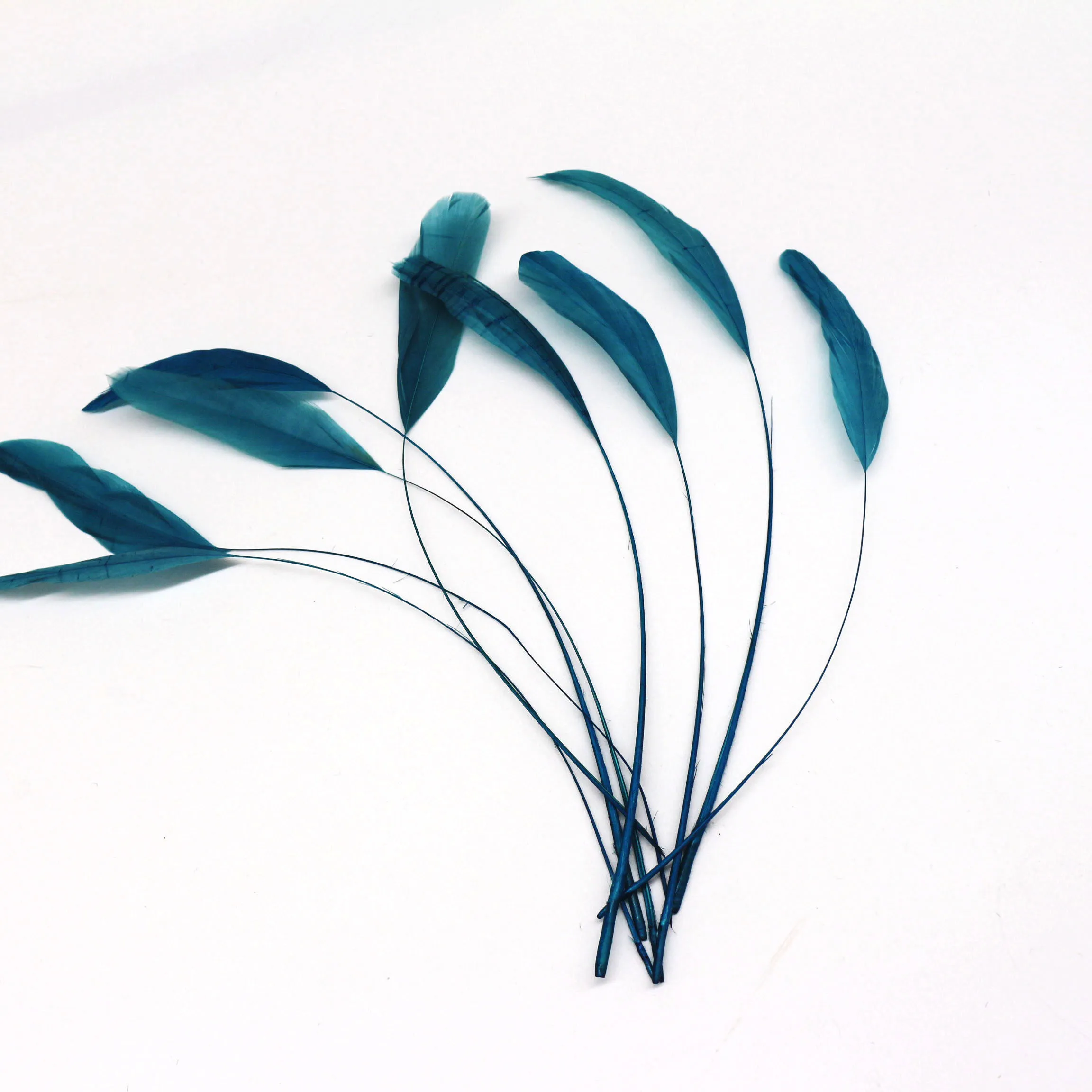 party decoration stripped coque feather