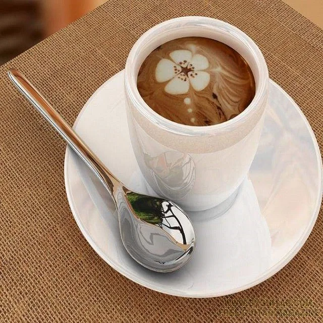 Coffee Application Non Dairy Creamer Manufacturer and Gold Supplier