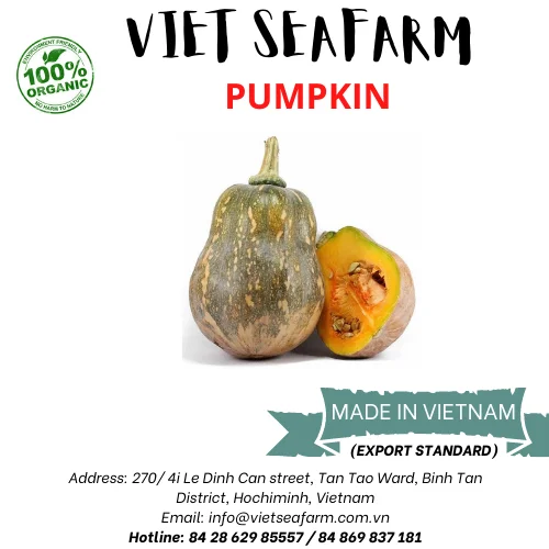 [HOT-SALE]- Fresh Red Pumpkin Natural Organic/ FROM Vietnam/ THE PRICE BEST