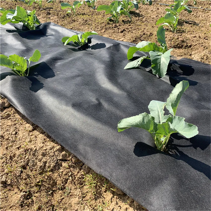 Best price of Spunbonded PP non woven fabric for Agriculture cover weed control landscape cover garden cover