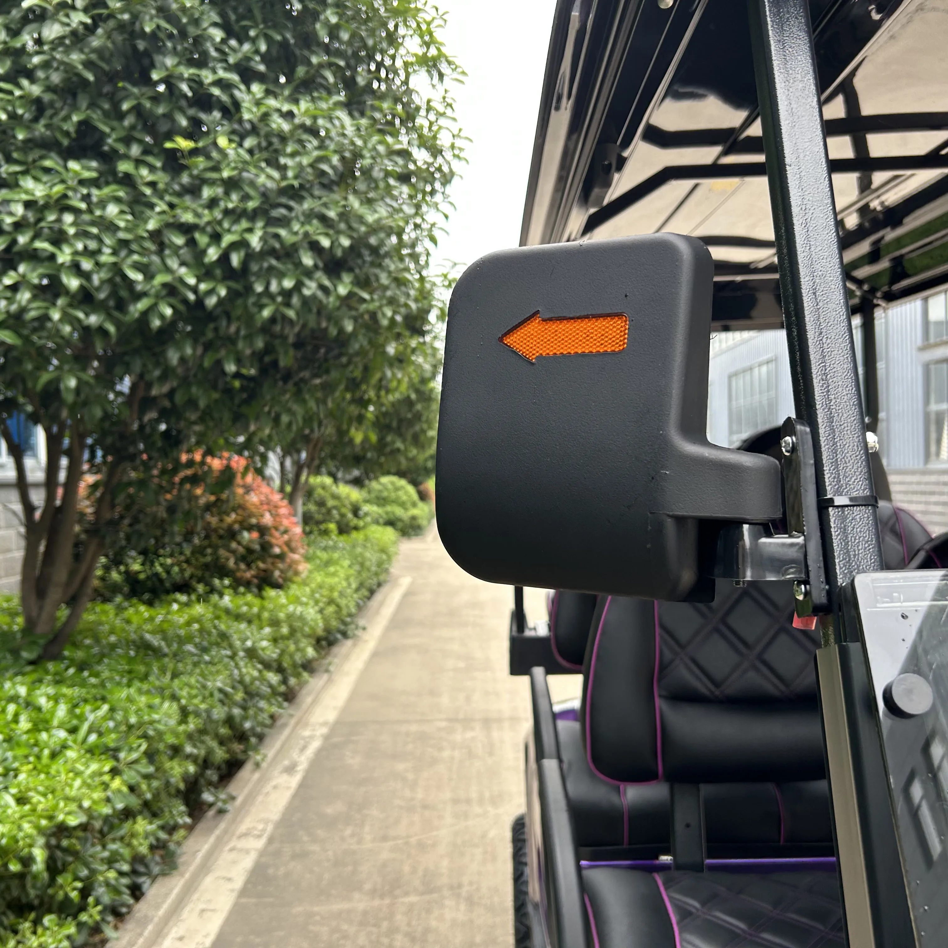 Electric Fast 4 Wheel Drive Golf Cart Newly Designed Electric Golf Cart Ec Brake Golf Carts