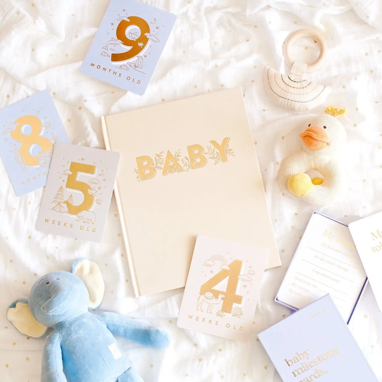Wholesale Milestones from One Day Old to One Year Old Paper Baby Milestone Cards Sets for Modem Mama