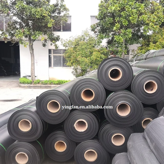 2024 Factory price eel pond liner 0.75mm hdpe Geomembrane sheet for promotion
