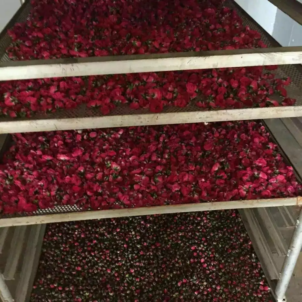 Widely Used Cabinet Tray Drying Oven for Food/ Fish/ Meat/ Flower/Vegetable secador/wood dryer machine