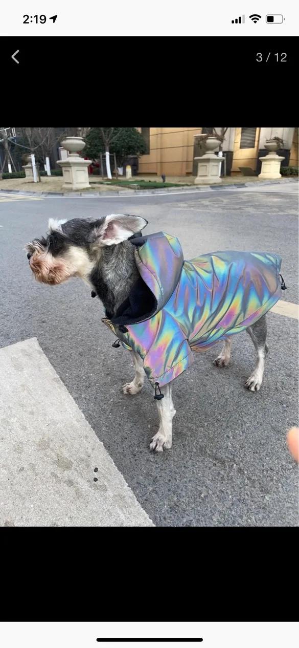 multicolor oil slick face rainbow fabric