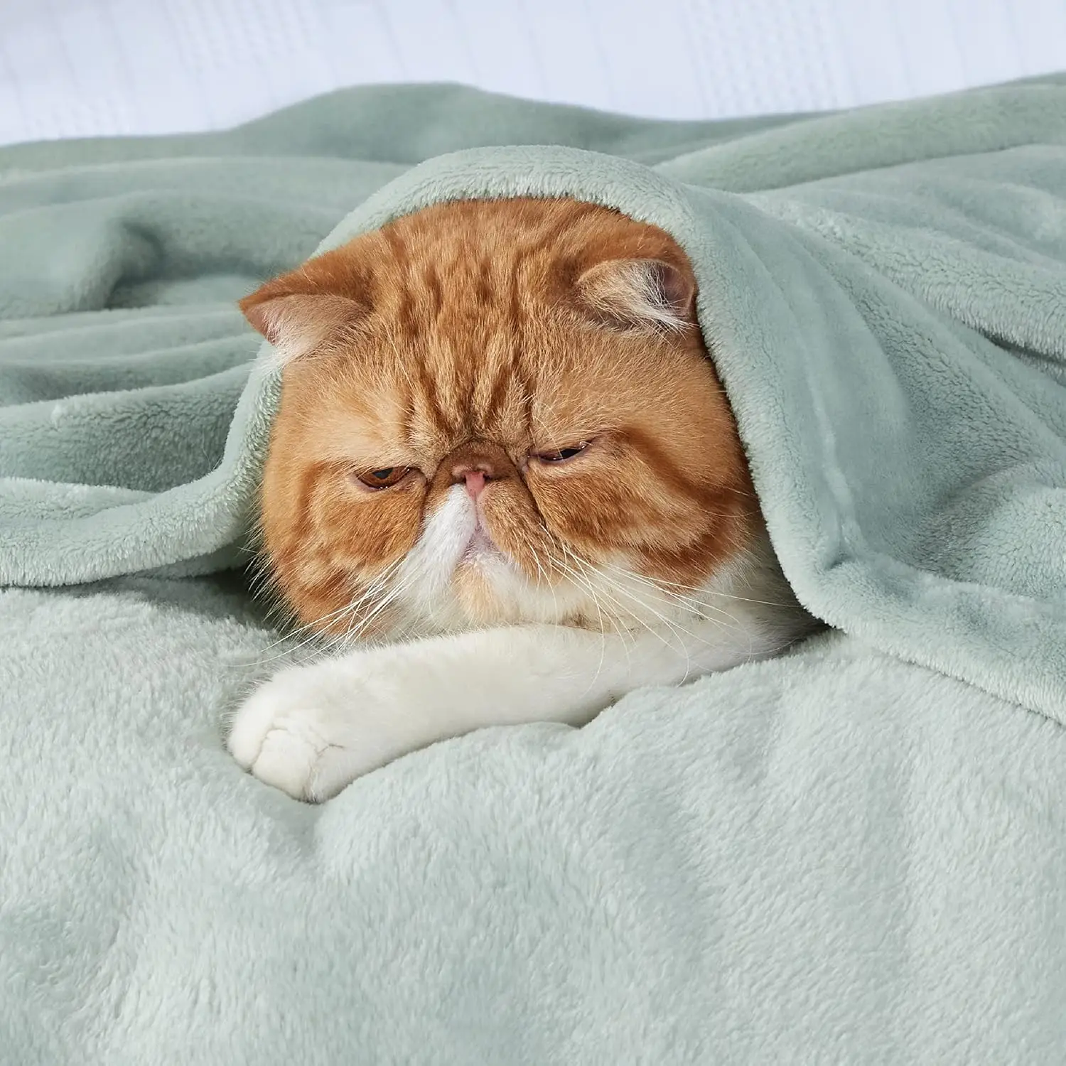 Flannel Fleece Blanket- Super Soft Plush Microfiber Solid Blanket for Couch, Bed, Chair, Sofa - Fuzzy Cozy Blanket