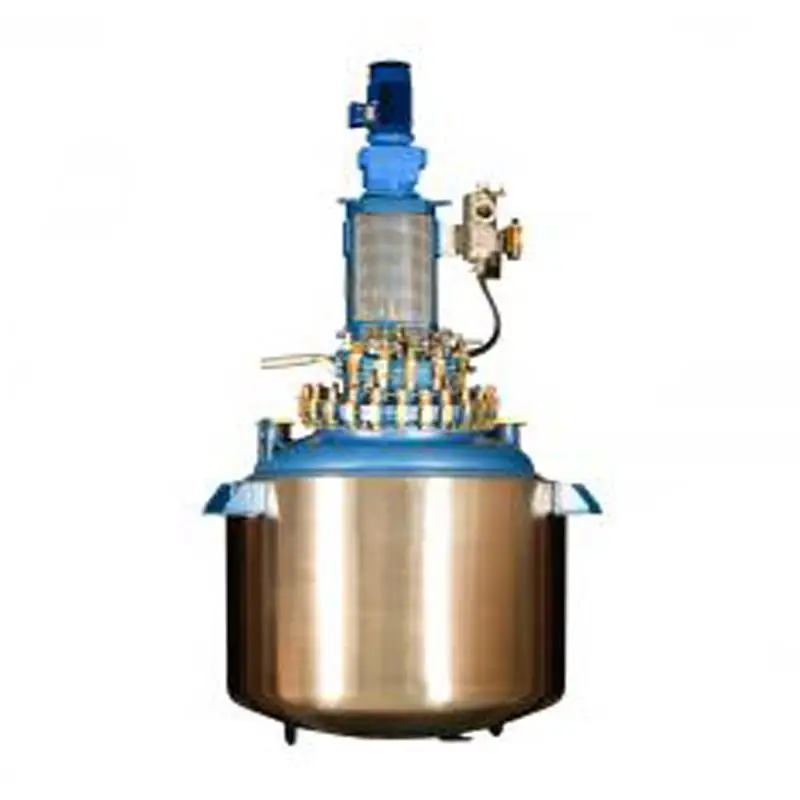 20ltr реактор с перемешиваемым резервуаром реактор De Lecho Fijo