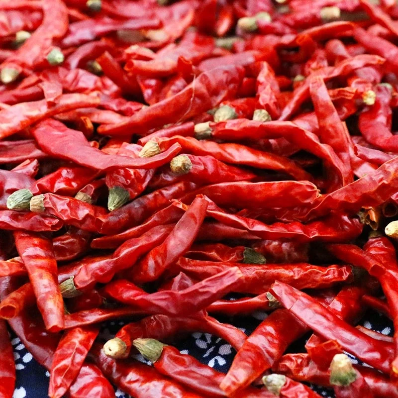  Wholesale Export Chinese High Quality Natural Dried Red Chili