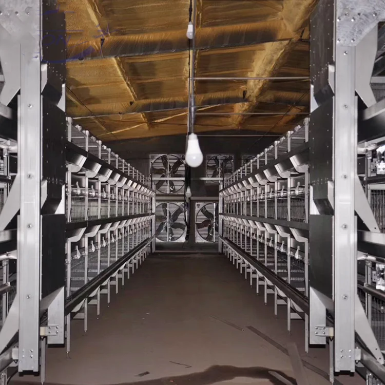 Animal Husbandry Chicken Cage Equipment for Africa Poultry Farm