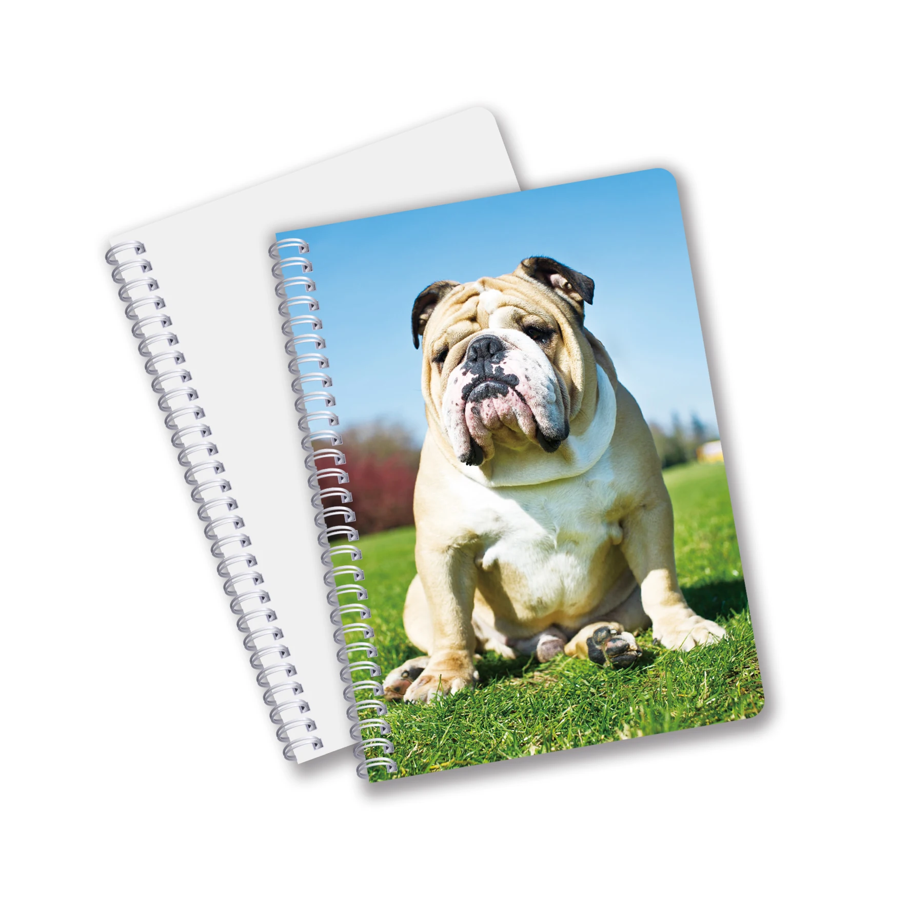 Канцелярские товары дневник тетради формата А4 3D чешуйчатая Обложка знаменитых видов