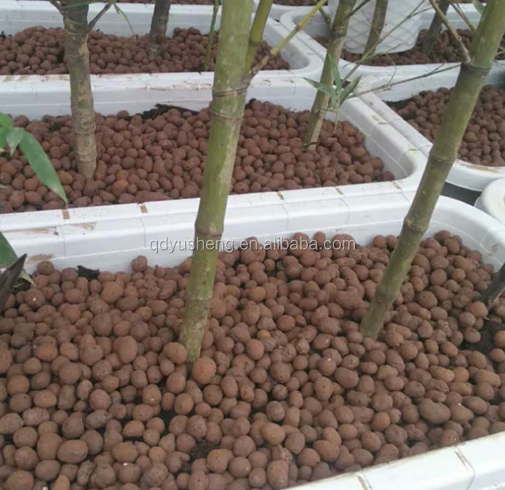 aquaponics grow bed hydroton clay pebbles