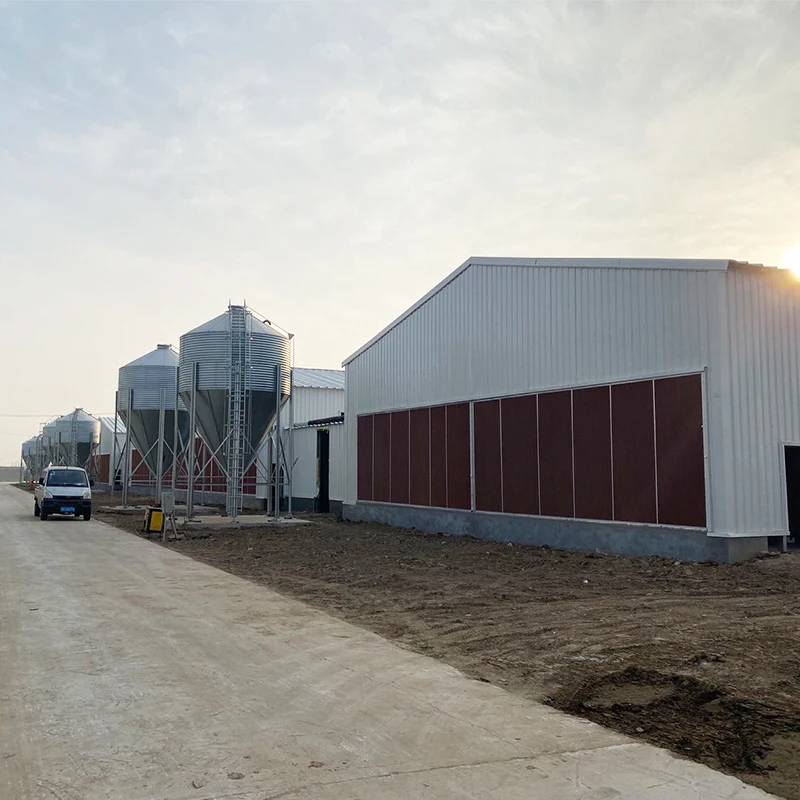 Сборный Лидер продаж куриный домик низкая цена стальная конструкция