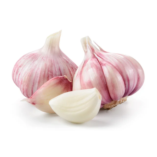 Factory Wholesale Price Fresh Purple White Garlic Supplier Export Good Quality Garlic