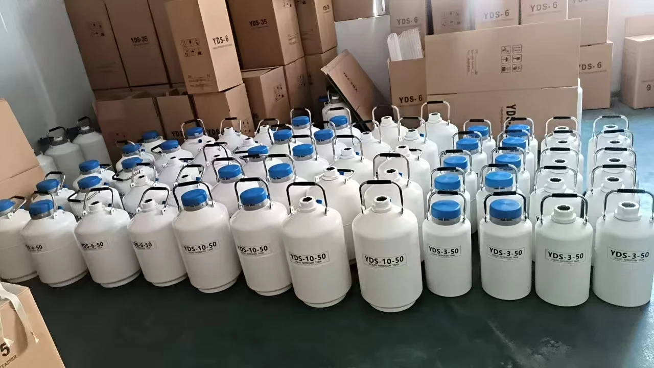 10L portable liquid nitrogen storage tank