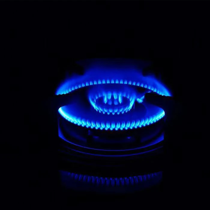 Built-in 2 Burners Sst Panel Gas Hob/gas Stove/gas Cooker