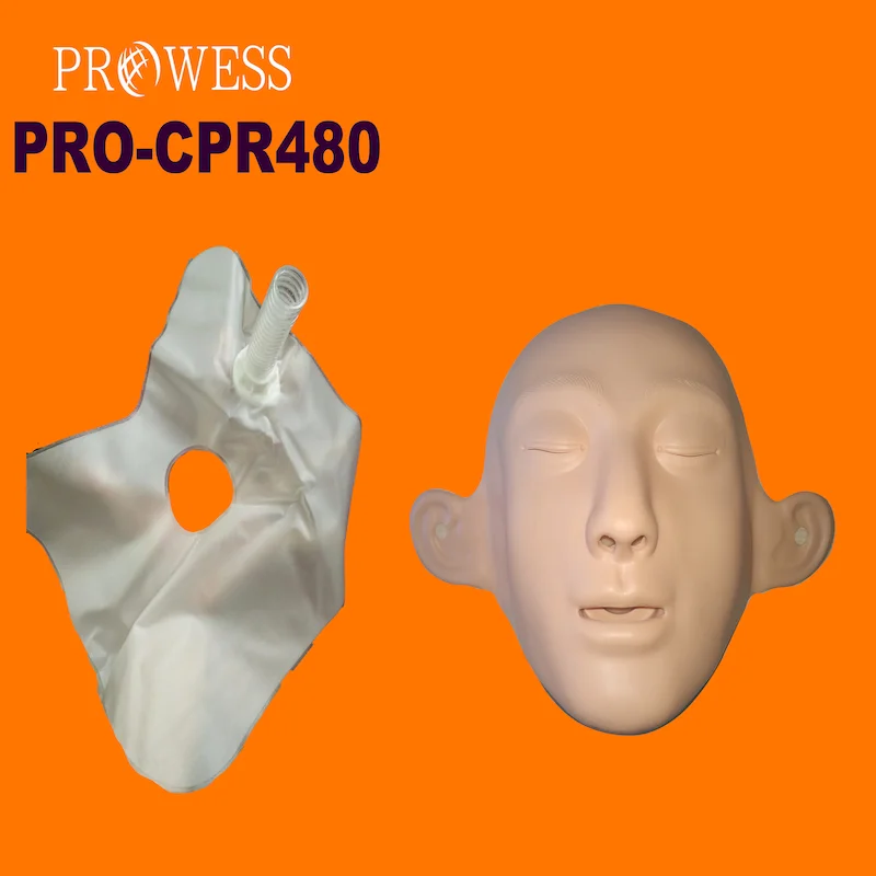 PRO-CPR480 lucas brushless cardiovaskuler compression device motor adult airway infarction opbergzak automated model china trade