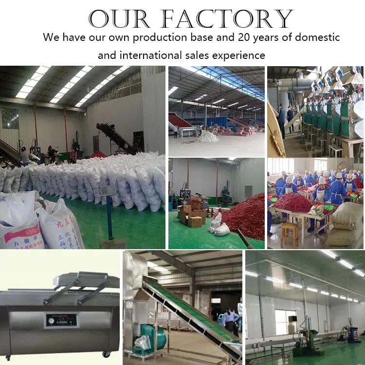 New crop hot pot spices red Chili powder food seasoning dried chili powder