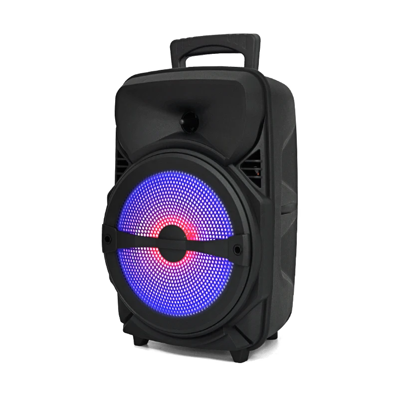 Manufacturer subwoofer big powered 8 inch HIFI Portable Wireless Blue tooth pa outdoor DJ bass party karaoke trolley Speaker