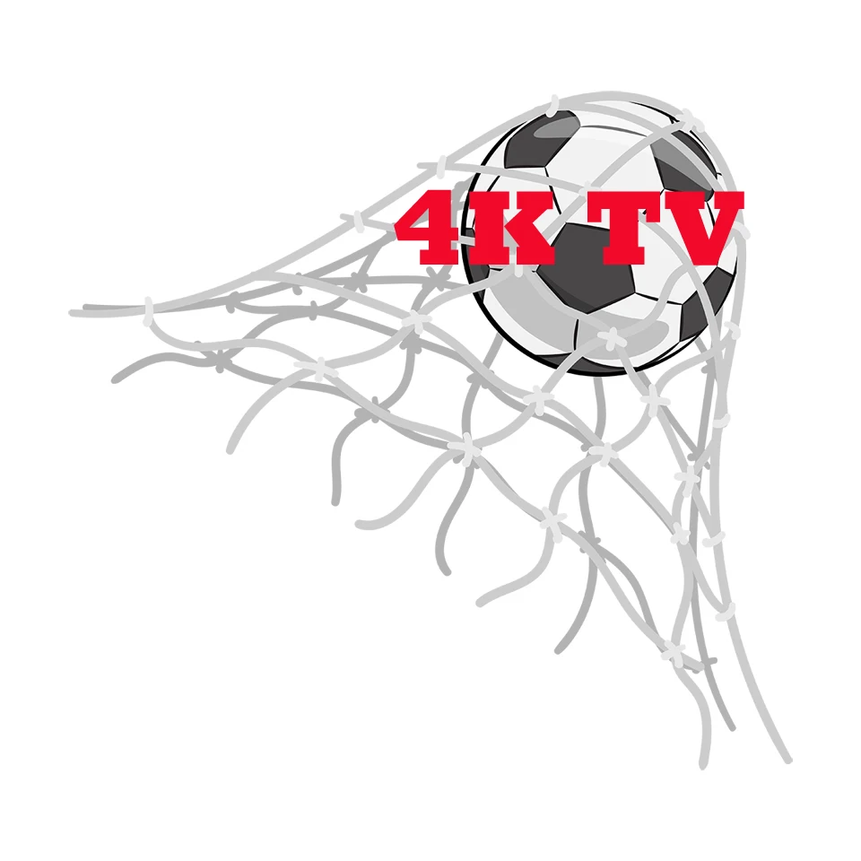 A Year IPTV Spain USA CA UK Germany IPTV Credit Panel for Wholesale IP TV 4k UHD M3U Spanish Smart TV M3U