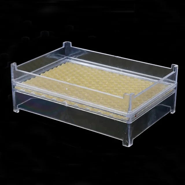 Beekeeping Tool 500g Plastic Honey Comb Box with Wax Foundation Sheet Cassette Honeycomb Box