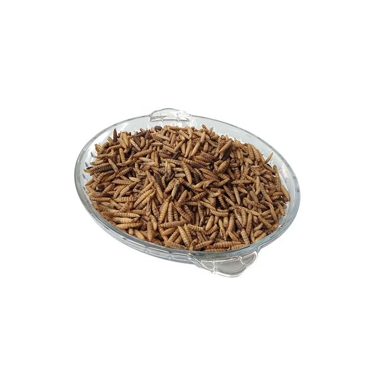 animal feed dried bsf larvae insect