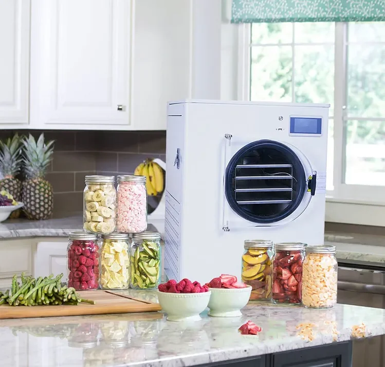 Small 0.1 m2  2KG Freeze Dryer Food Drying Lyophilizer Machine For Home Use Vacuum Freezing Dryer Fruit Vegetable Juice